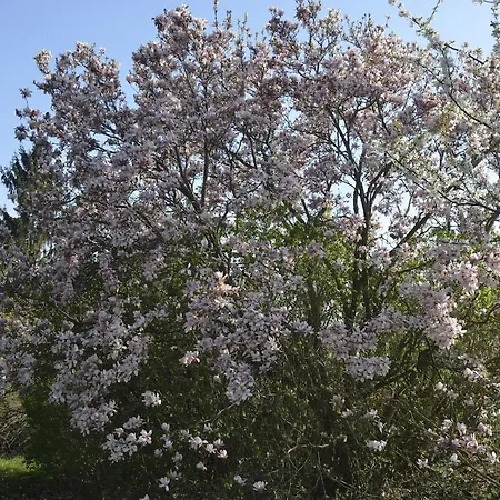 דירה Sunflower Cottage, Austria Dienersdorf