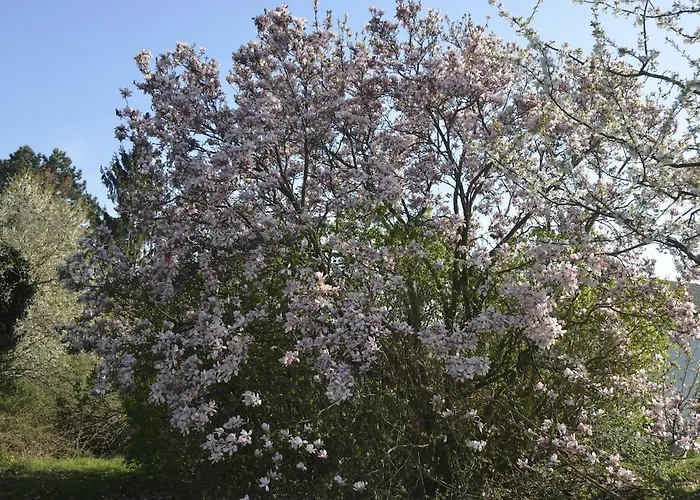 Apartment Sunflower Cottage, Austria Dienersdorf